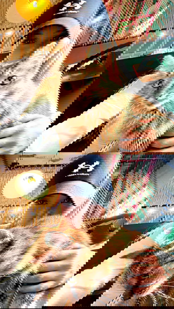 ninja.vi ninja.vi archive image