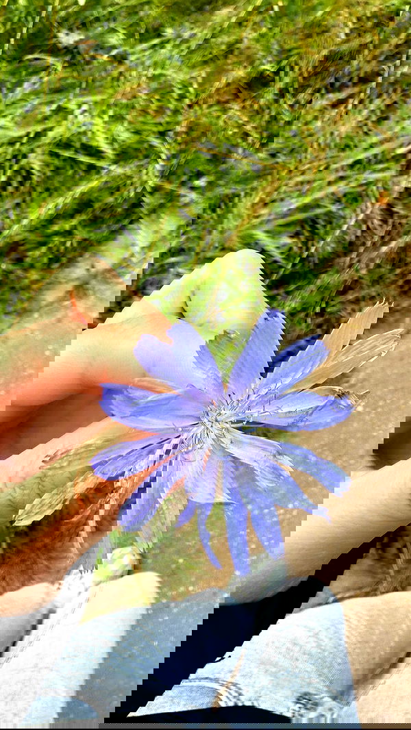 ninja.vi ninja.vi archive image