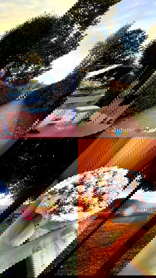 ninja.vi ninja.vi archive image