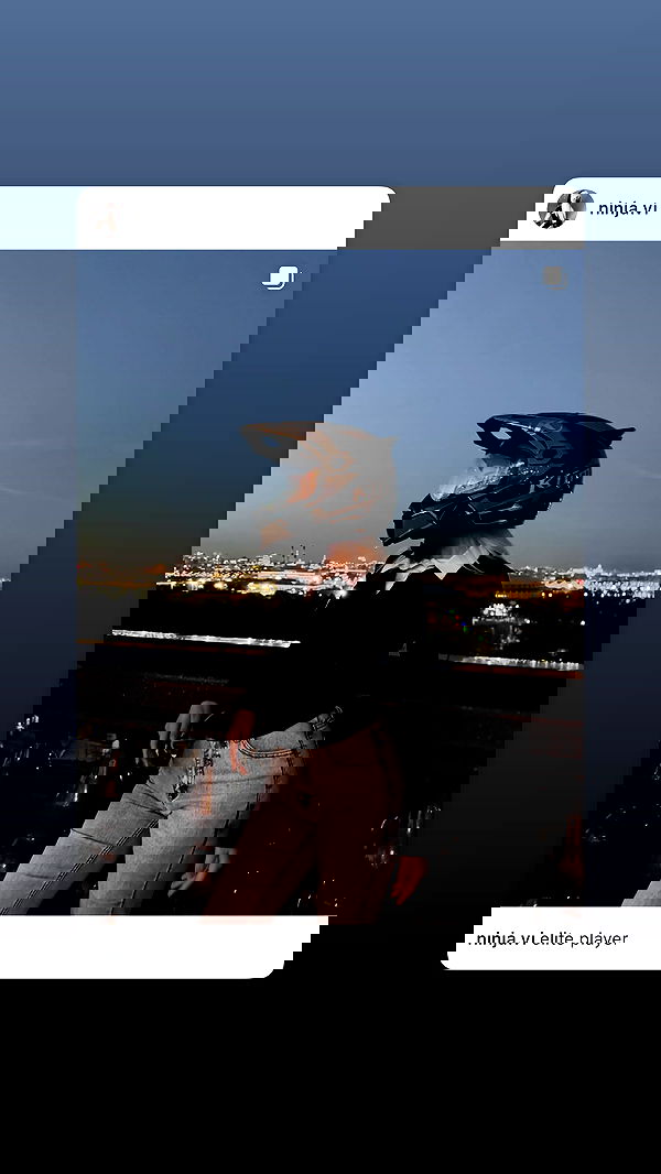 ninja.vi ninja.vi archive image