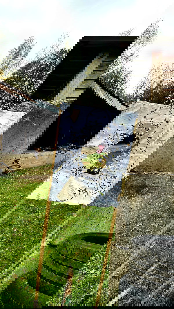 ninja.vi ninja.vi archive image