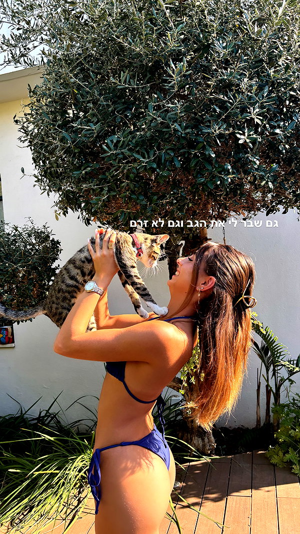 noa.asraff noa.asraff archive image