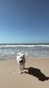noa.asraff Altpins Profile Picture