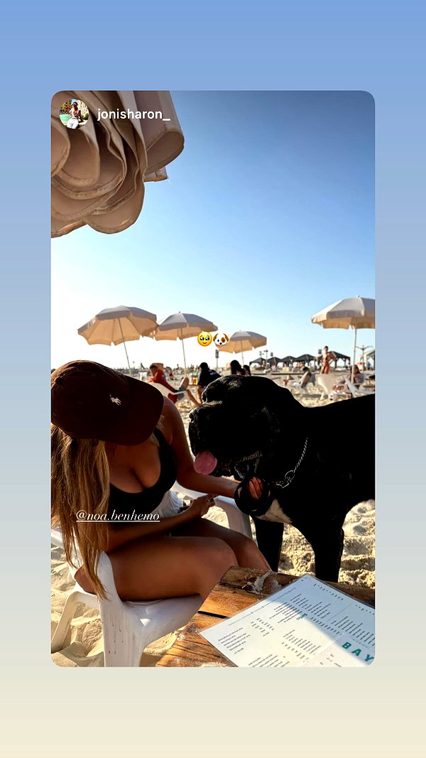 noa.benhemo instagram image archive image