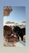 noa.benhemo Altpins Profile Picture