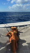 noa.burshtein Altpins Profile Picture