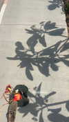 noa.c___ Altpins Profile Picture
