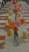 noa.danino_ Altpins Profile Picture