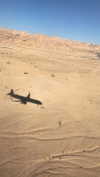 noa_ben_attar Altpins Profile Picture