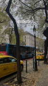 noa_bramii Altpins Profile Picture