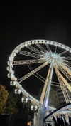 noa_bramii Altpins Profile Picture