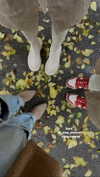 noa_bramii Altpins Profile Picture