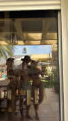 noa_bramii Altpins Profile Picture