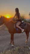 noa_bramii Altpins Profile Picture