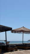 noa_bramii Altpins Profile Picture