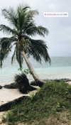 noa_mendel_ Altpins Profile Picture