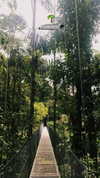 noa_mendel_ Altpins Profile Picture