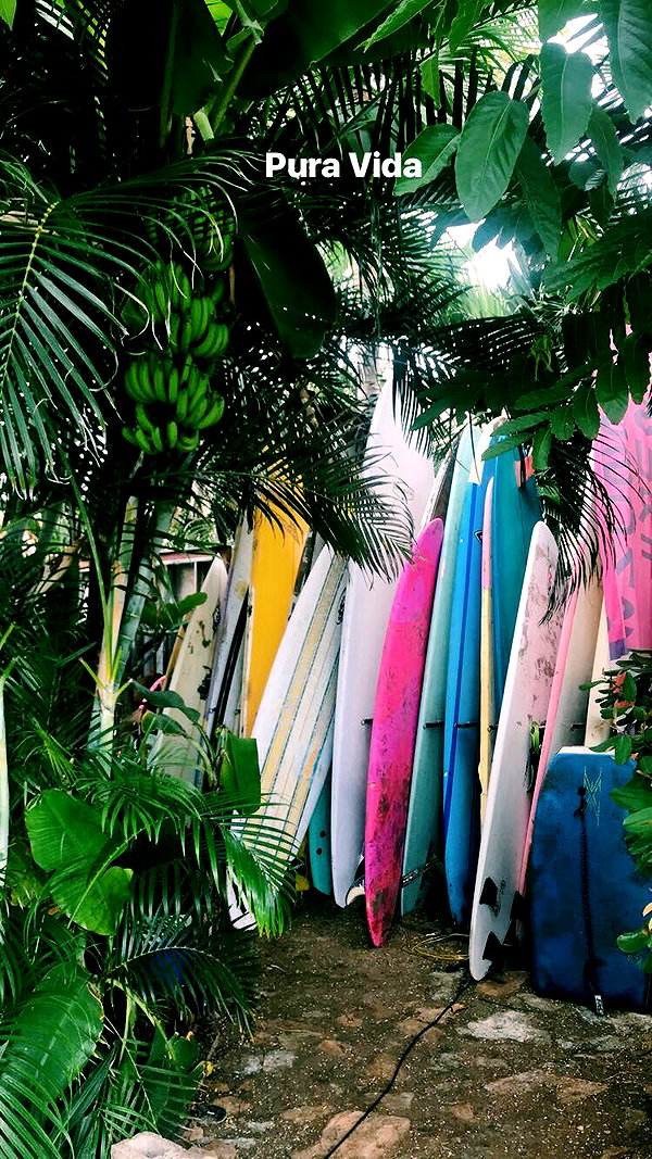 noa_mendel_ noa_mendel_ archive image
