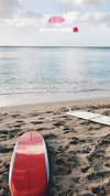 noa_mendel_ Altpins Profile Picture