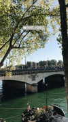 noa_mendel_ Altpins Profile Picture