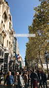 noa_mendel_ Altpins Profile Picture
