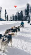 noa_mendel_ Altpins Profile Picture
