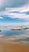 noa_mendel_ Altpins Profile Picture