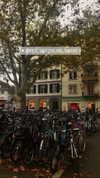 noa_mendel_ Altpins Profile Picture