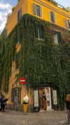 noa_mendel_ Altpins Profile Picture