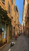 noa_mendel_ Altpins Profile Picture