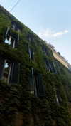 noa_mendel_ Altpins Profile Picture