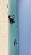 noa_mendel_ Altpins Profile Picture