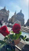 noa_mendel_ Altpins Profile Picture