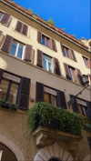 noa_mendel_ Altpins Profile Picture