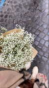 noa_mendel_ Altpins Profile Picture