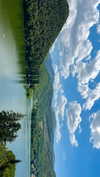 noa_mendel_ Altpins Profile Picture