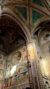 noa_mendel_ Altpins Profile Picture