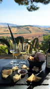 noa_mendel_ Altpins Profile Picture