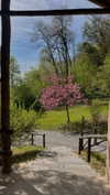 noa_mendel_ Altpins Profile Picture