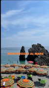 noa_mendel_ Altpins Profile Picture