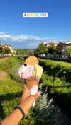 noa_mendel_ Altpins Profile Picture