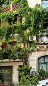 noa_mendel_ Altpins Profile Picture