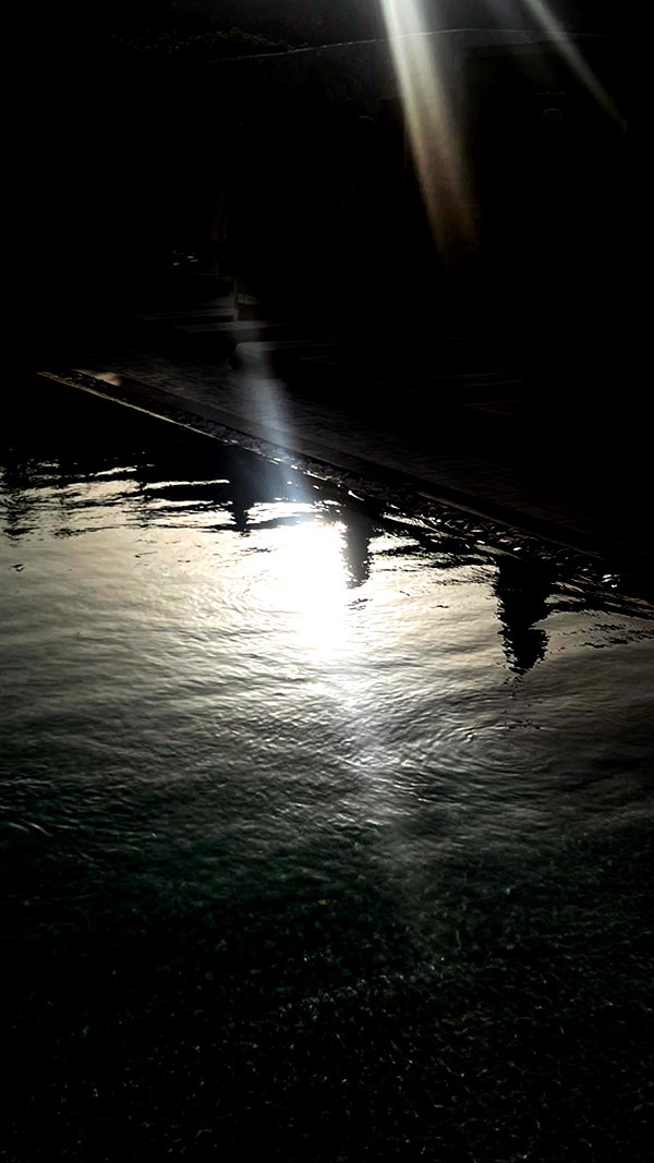 noa_mendel_ noa_mendel_ archive image