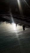 noa_mendel_ Altpins Profile Picture
