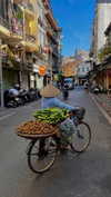 noa_mendel_ Altpins Profile Picture