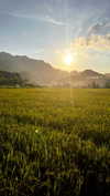 noa_mendel_ Altpins Profile Picture