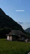 noa_mendel_ Altpins Profile Picture