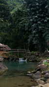 noa_mendel_ Altpins Profile Picture