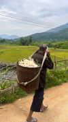 noa_mendel_ Altpins Profile Picture