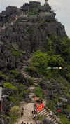 noa_mendel_ Altpins Profile Picture